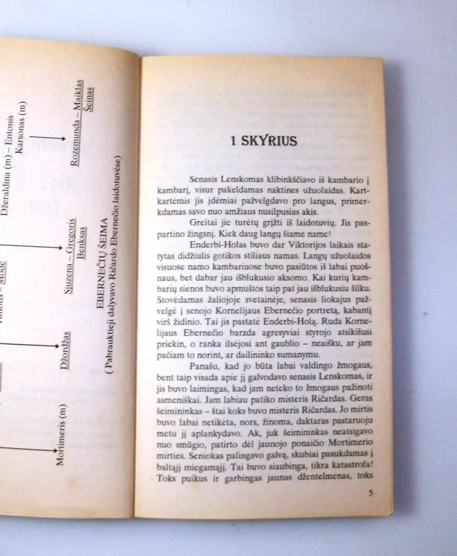 Po laidotuvių - Agata Kristi, knyga 5