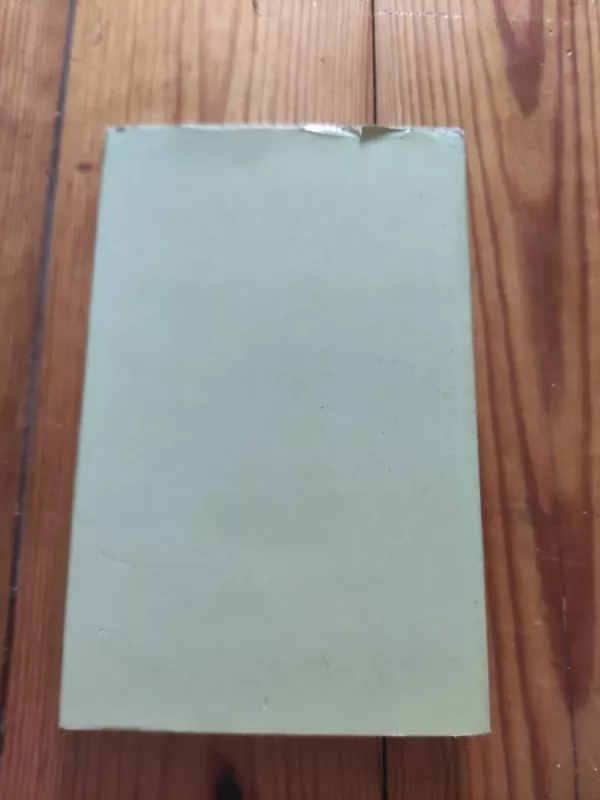 Žmonėse - Maksimas Gorkis, knyga 4