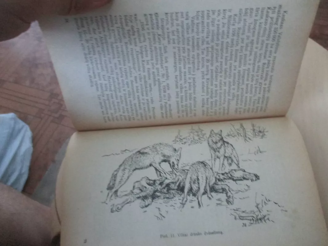 Žvėrių ir paukščių įpročiai - N. A. Zvorikinas, knyga 5