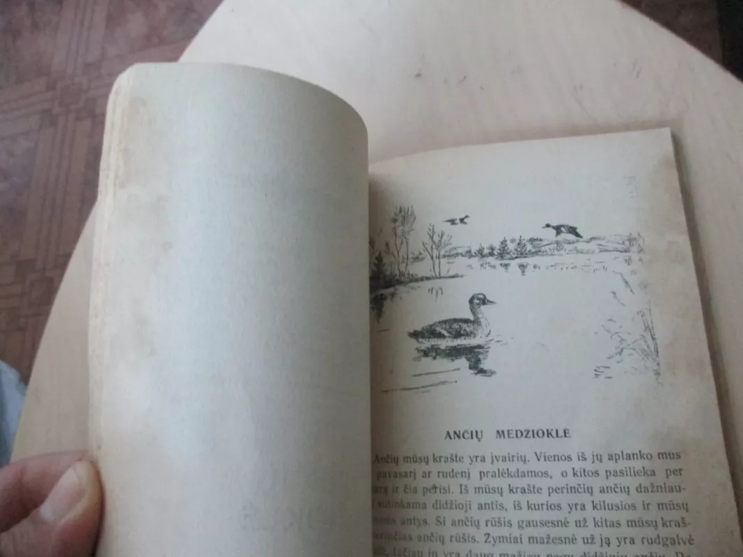 Žvėrių ir paukščių medžioklė - Juozas Sokas, knyga 4