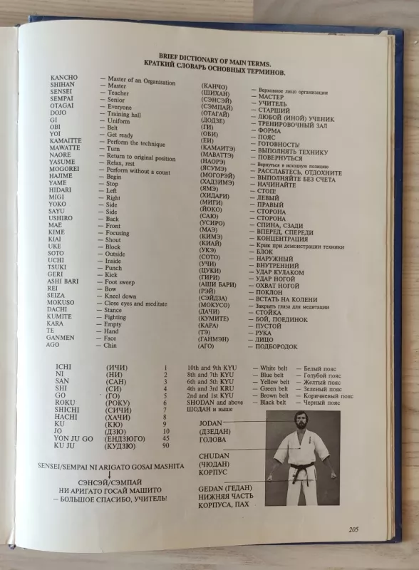 POWER KARATE - D. C. Cook, knyga 5