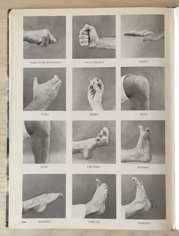 POWER KARATE - D. C. Cook, knyga 6