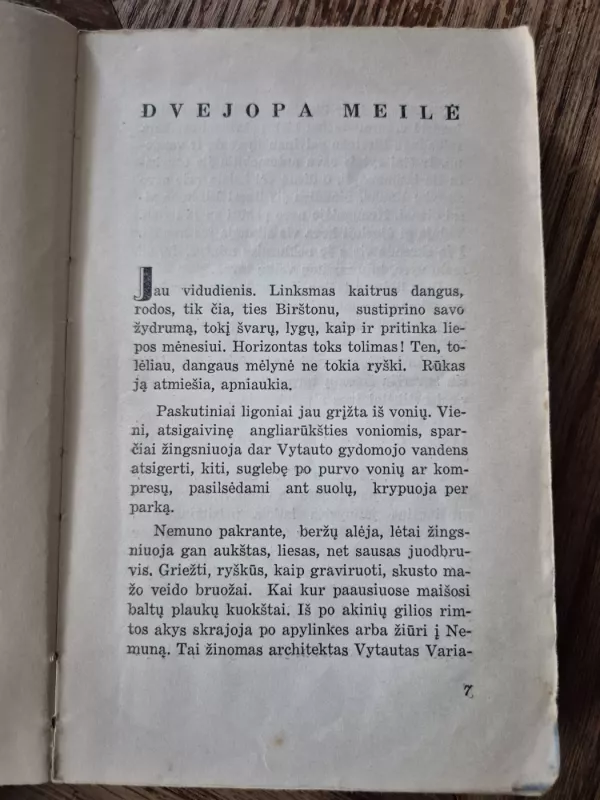 Dvejopa meilė - A. Šalčiuvienė-Gustaitytė, knyga 4