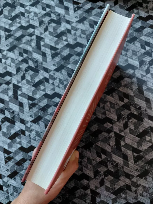 Suvilioti dienai bundant - Lisa Kleypas, knyga 4