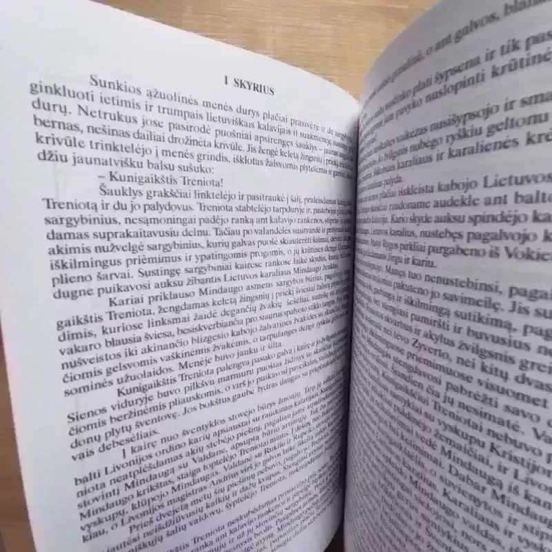 Karūna ir kraujas: istorinis romanas - Vytautas Talačka, knyga 5