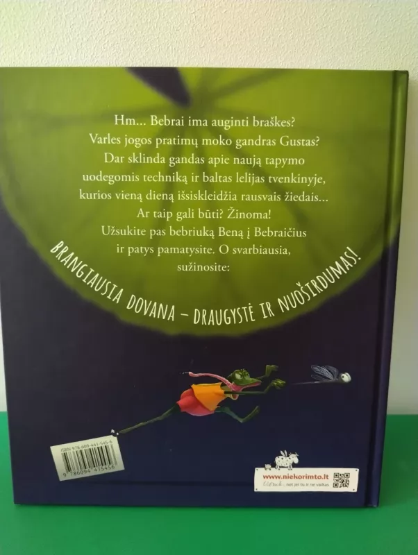 Bebriukas Benas - Asta Gricė, knyga 5