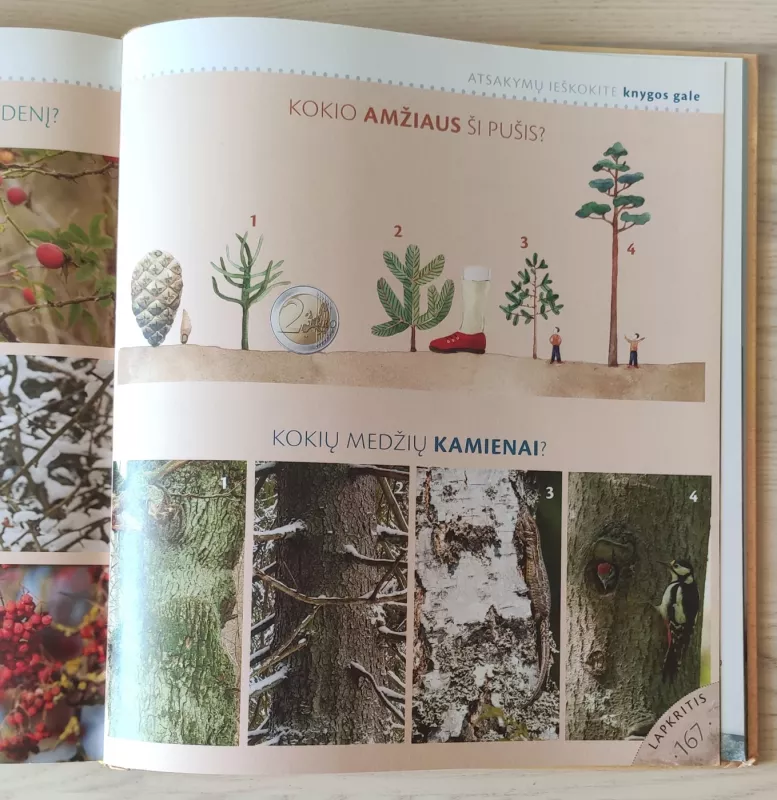 Gamtos metų ratas - Selemonas Paltanavičius, knyga 4