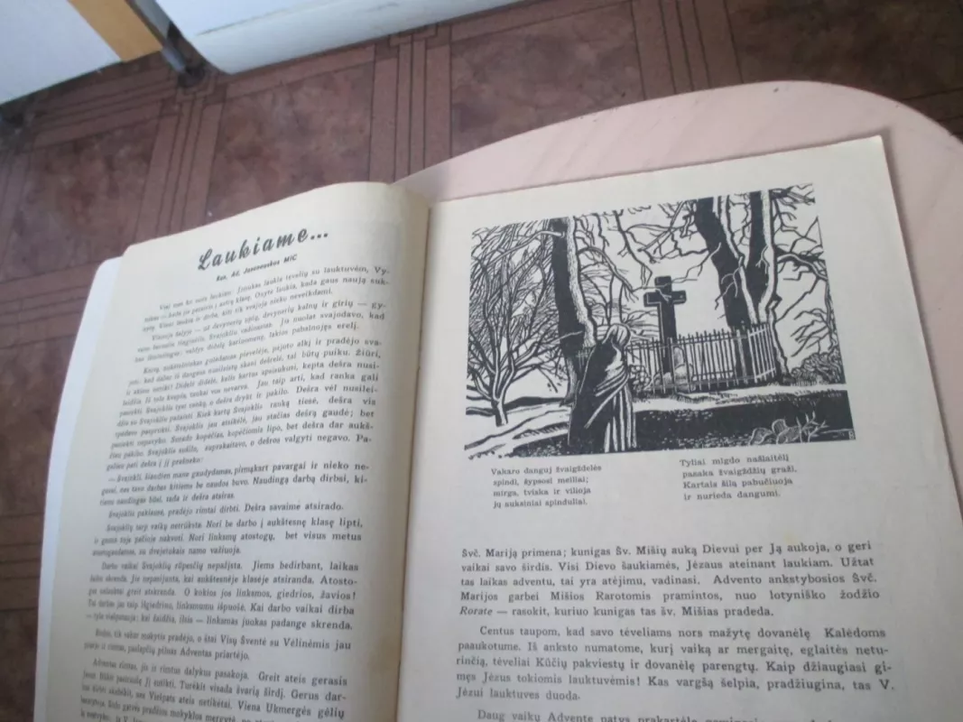 Žvaigždutė 1938 m. Nr. 23 - Aautorių kolektyvas, knyga 6