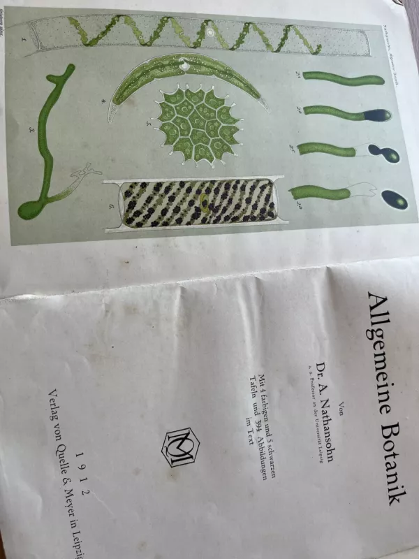 ALLGEMEINE BOTANIK - Prof.A.Nathansohn, knyga 5
