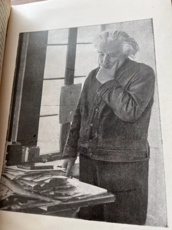 Albertas Einšteinas - B. Voroncovas-Veljaminovas, knyga 5