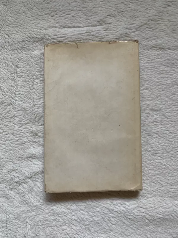 Namas su mezoninu - Antonas Čechovas, knyga 3