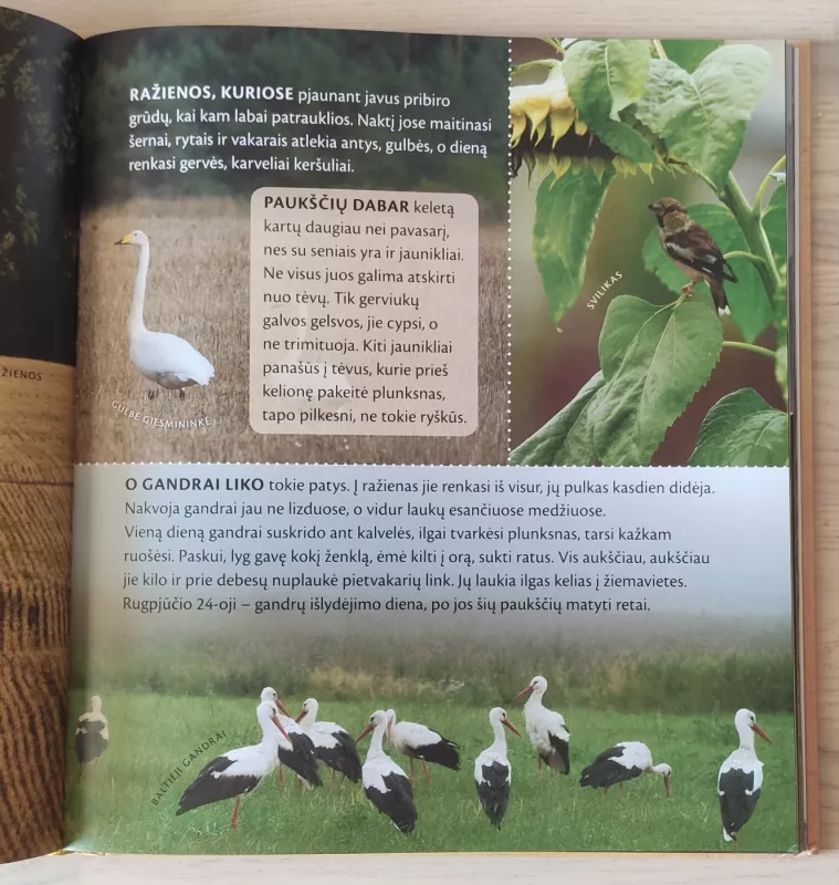 Gamtos metų ratas - Selemonas Paltanavičius, knyga 5