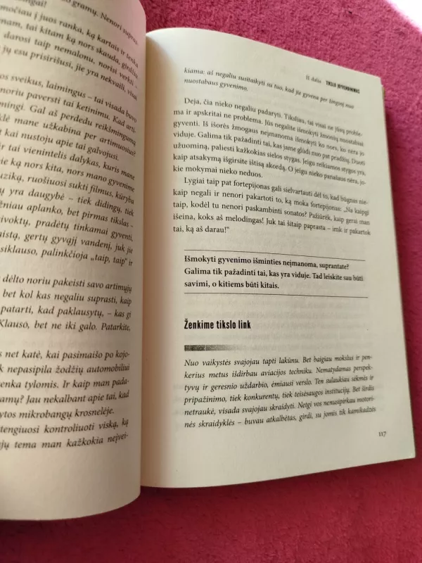 Saugumo iliuzija. cLiebe: transerfingo praktika - Vadim Zeland, knyga 4