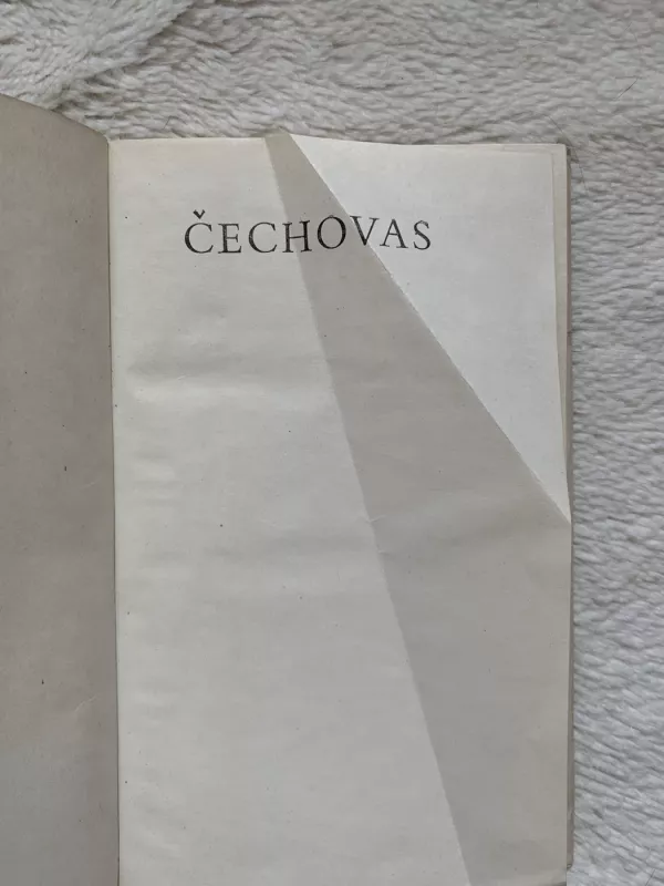 Namas su mezoninu - Antonas Čechovas, knyga 5