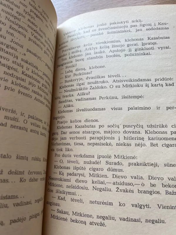 Vienuolyno požemio vaiduokliai - Vytautas Misevičius, knyga 5