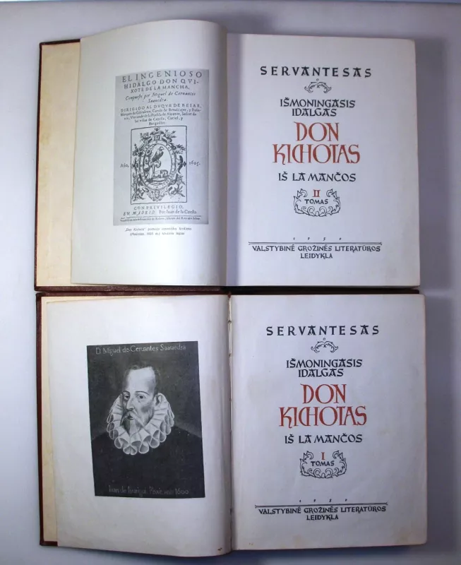 Išmoningasis Idalgas Don Kichotas iš La Mančios (2 tomai) - Migelis Servantesas, knyga 6