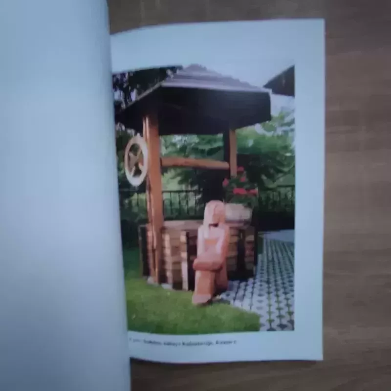 Geriamasis vanduo sodyboje - Albinas Kusta, knyga 6