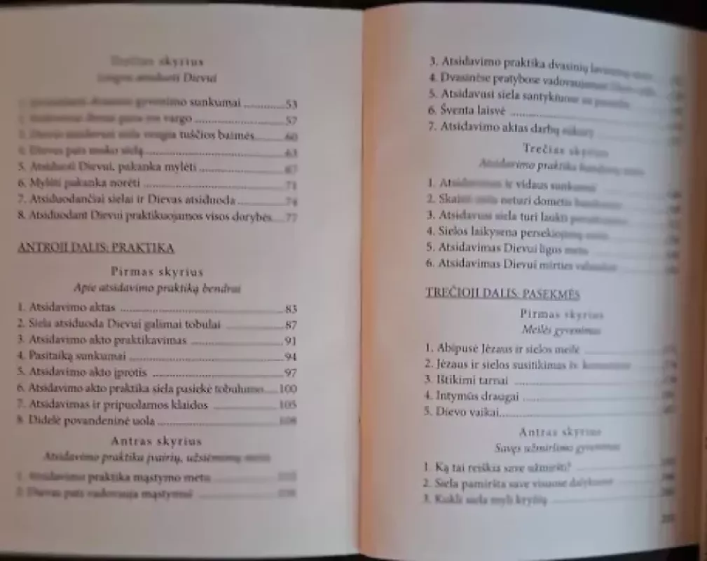 Meilės praktika - Jos. Schrijvers, knyga 5