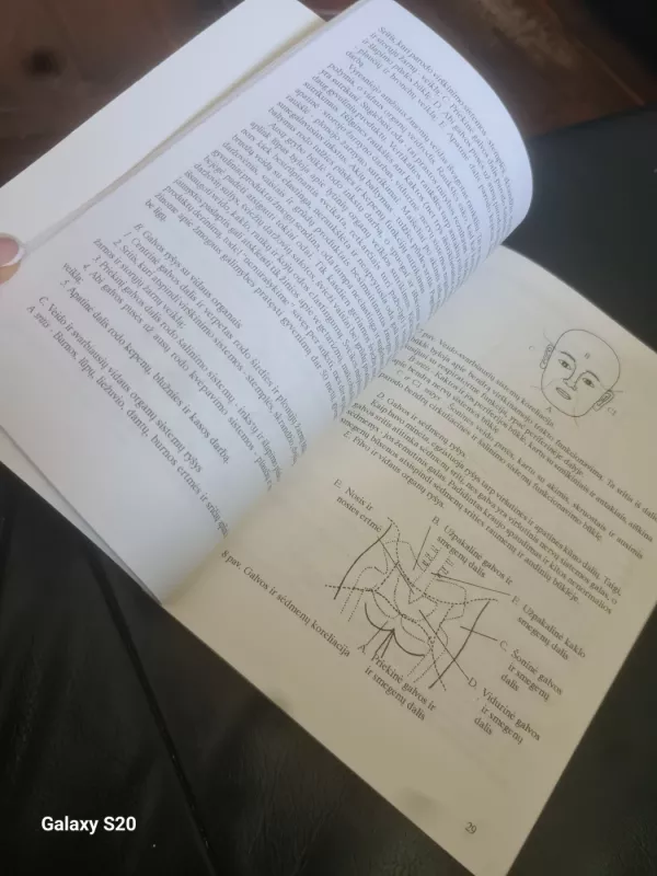 Rytų diagnostika, arba Kaip Jūs žiūrite į savo sveikatą - Mikio Kuši, knyga 5