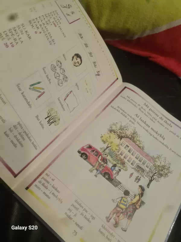 Romų abėcėlė - Teofilė Bagdonavičienė, Henrika Prosniakova, knyga 6