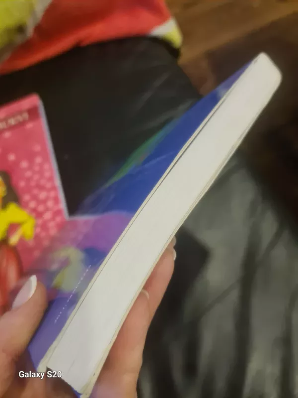 Romų kalba / Romany čhib - Vida Beinortienė, knyga 3