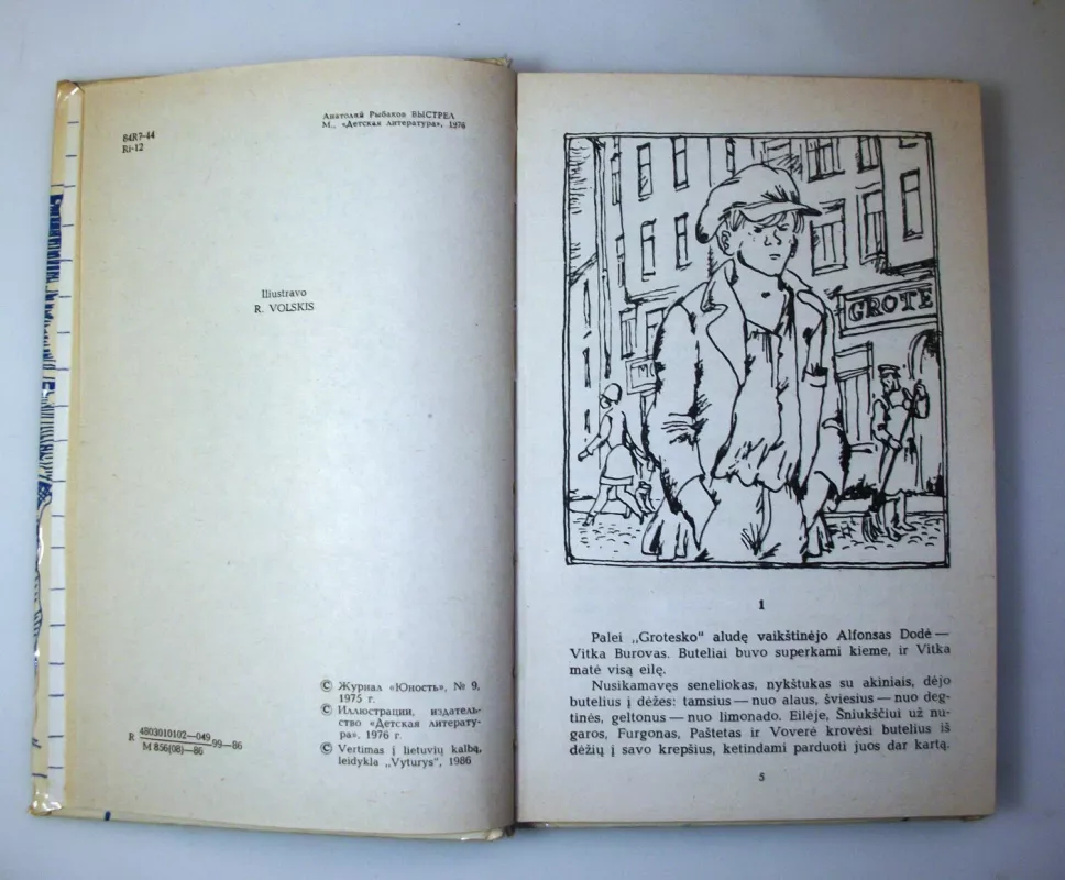 Šūvis - Anatolijus Rybakovas, knyga 5