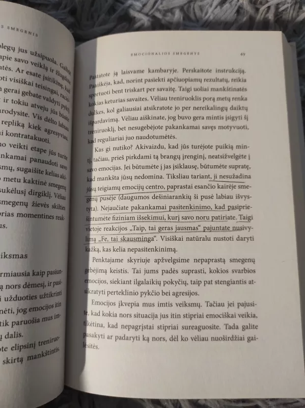 BEGYDANT PIKTAS SMEGENIS: kaip perpratus smegenis galima lengviau suvaldyti pyktį ir agresiją - Ronald Potter-Efron, knyga 3
