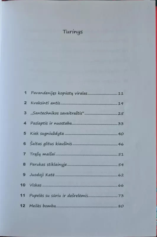 Močiutė plėšikė - David Walliams, knyga 5