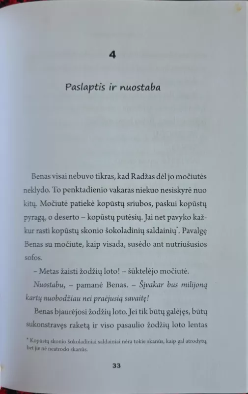 Močiutė plėšikė - David Walliams, knyga 6
