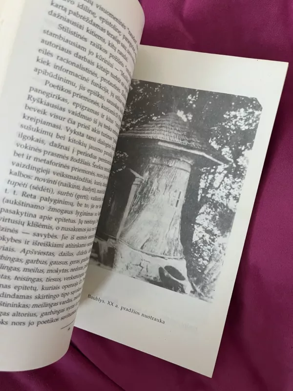 Dionizas Poška - Vytautas Vanagas, knyga 6