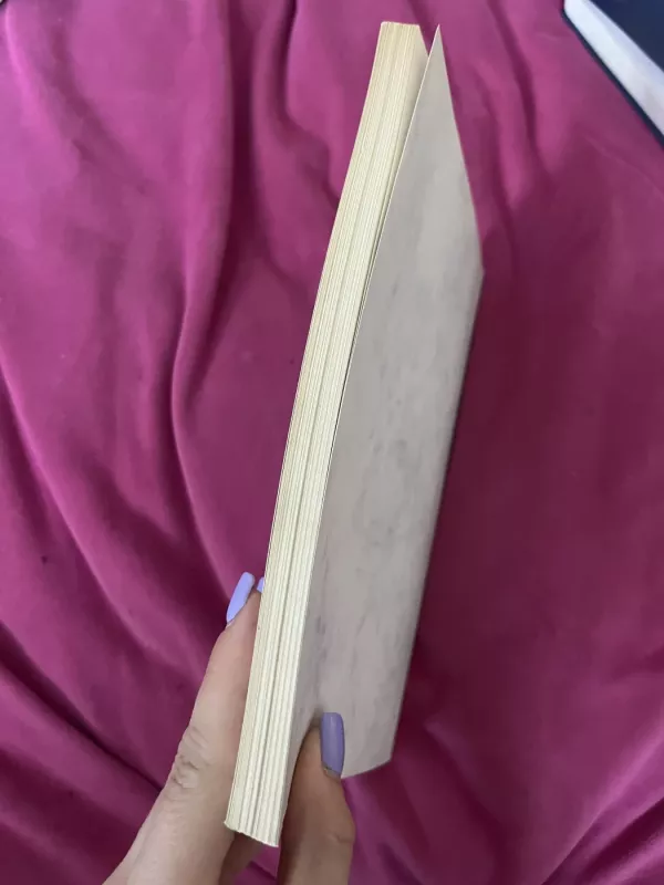 Dionizas Poška - Vytautas Vanagas, knyga 5