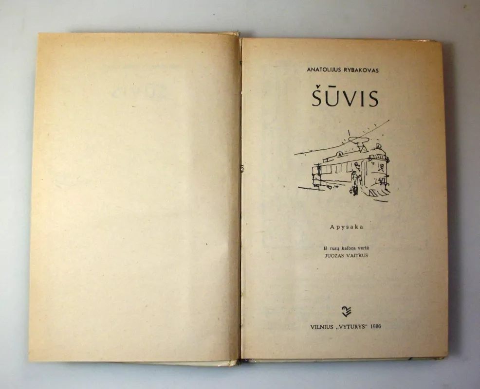 Šūvis - Anatolijus Rybakovas, knyga 4