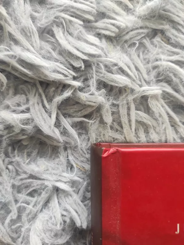 Paskutinė iš Slucko kunigaikščių. Zigmanto III laikų kronika - JUZEFAS IGNACAS KRAŠEVSKIS, knyga 3