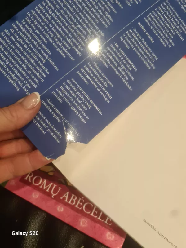 Romų kalba / Romany čhib - Vida Beinortienė, knyga 6