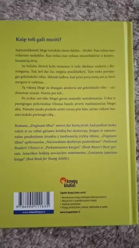 Deginant tiltus - Jennifer Echols, knyga 3