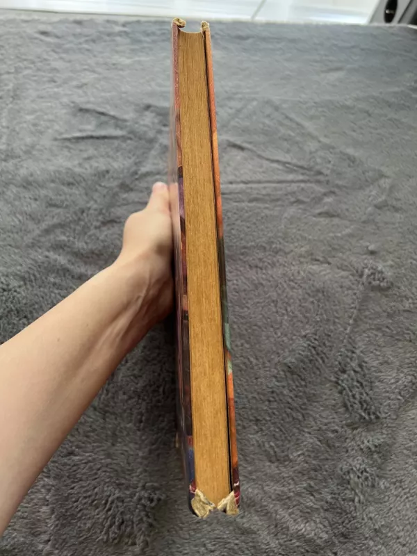 Haris Poteris ir išminties akmuo - J.K.Rowling, knyga 6