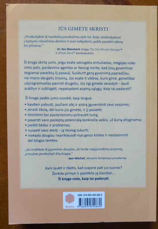 Jei vikšras gali skristi, galiu ir aš - Alvin Day, knyga 4