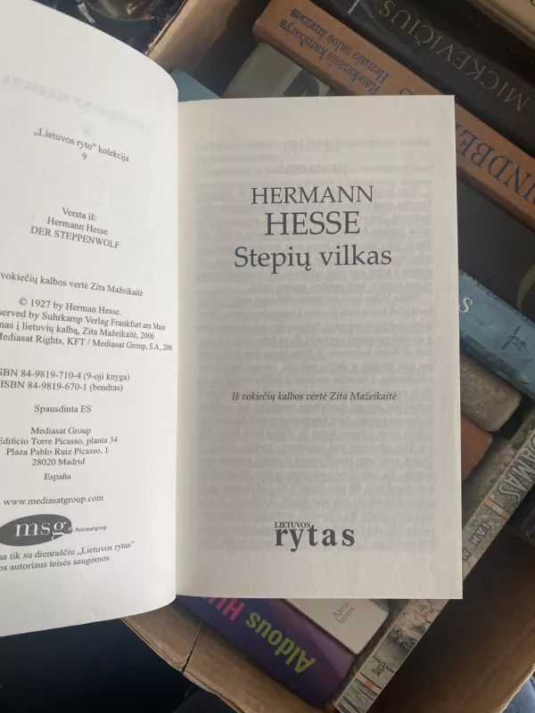 Stepių vilkas - Hermanas Hesė, knyga 3
