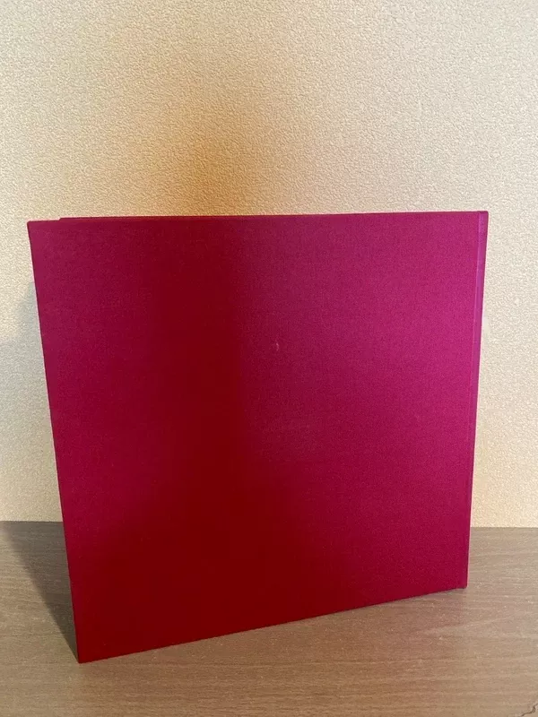 Lights on. Gidas į šiuolaikinę Lietuvos jaunųjų fotografiją / A Guide to Contemporary Lithuanian Young Photography - Eglė Deltuvaitė, knyga 3