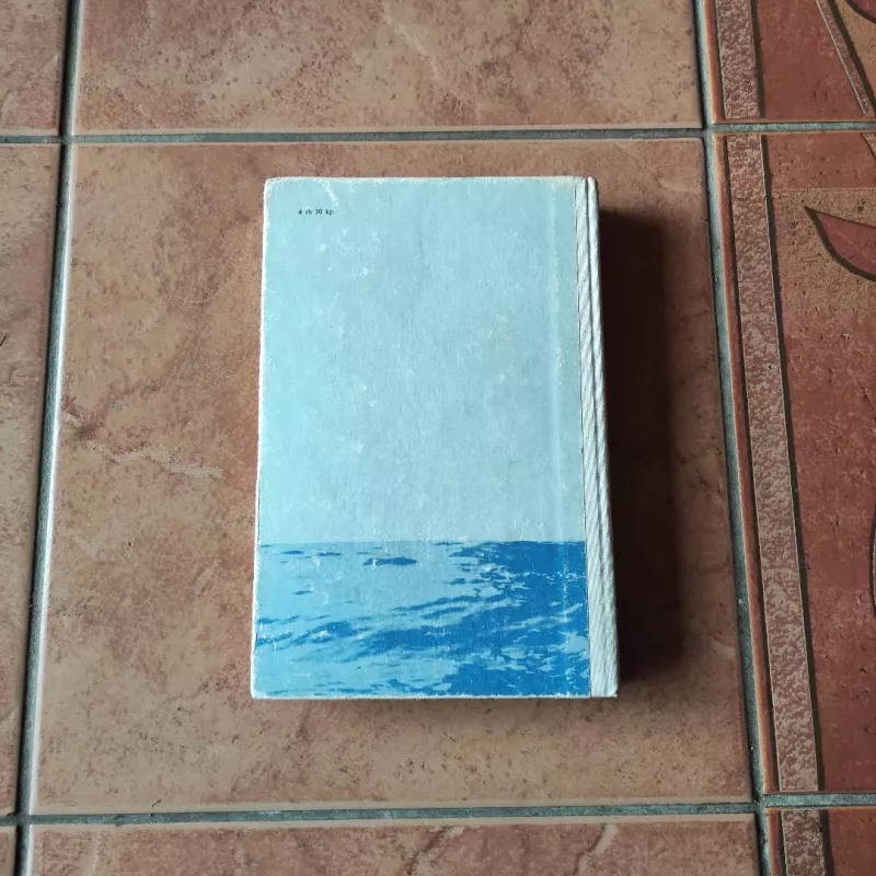 jūra, jūra... - Airisė Merdok, knyga 3