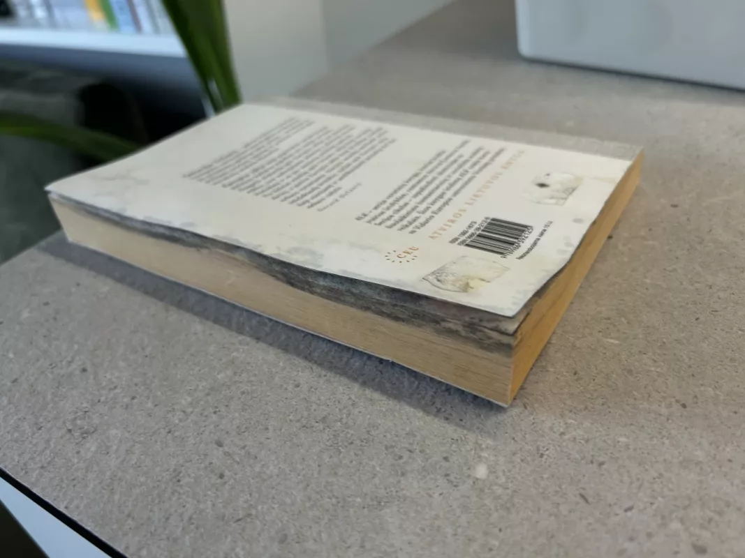 Europos išradimas - Gerard Delanty, knyga 4