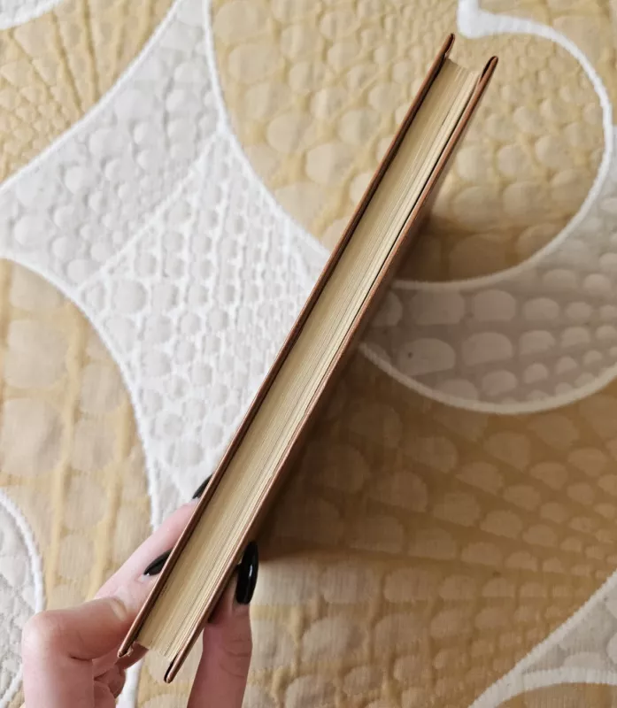 Juzefas Pilsudskis: legendos ir faktai - Daria Nalenč, Tomaš  Nalenč, knyga 4