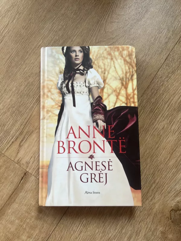 Agnesė Grėj - Anne Bronte, knyga 2