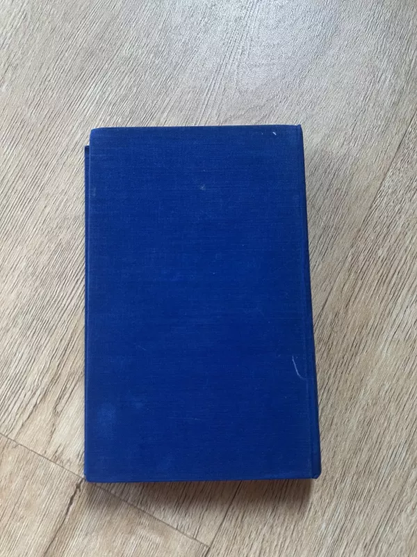 Idiotas - Fiodoras Dostojevskis, knyga 3