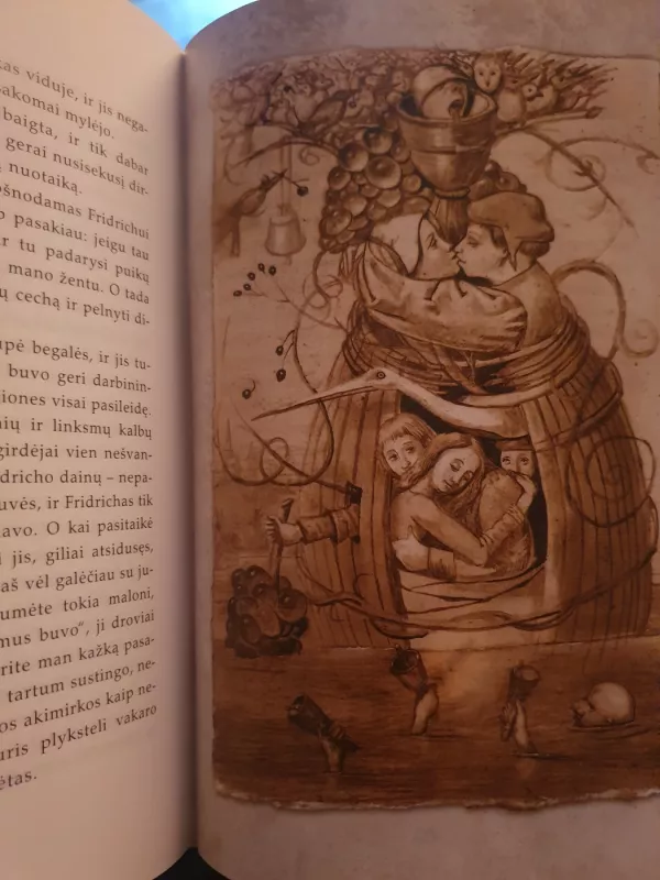 Aukso puodas ir kitos istorijos - Ernst Theodor Amadeus Hoffmann, knyga 4