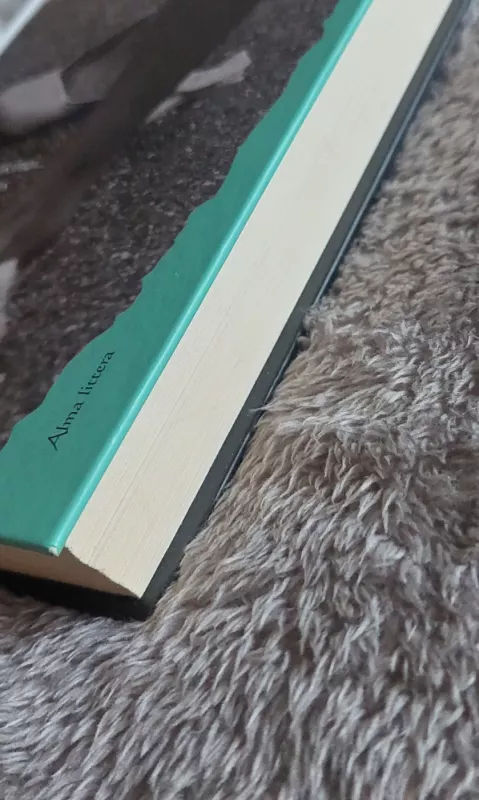 Nuostabioji draugė - Elena Ferrante, knyga 3