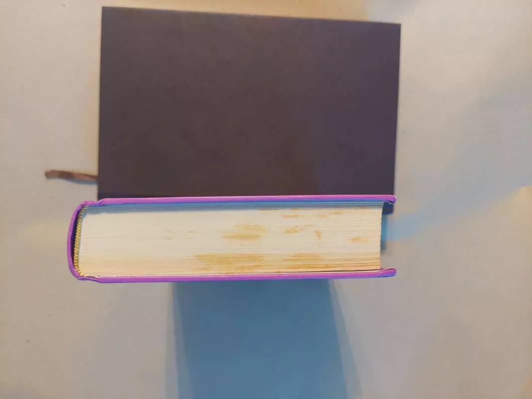 Gyvenimo spalvos - Irena Buivydaitė, knyga 5