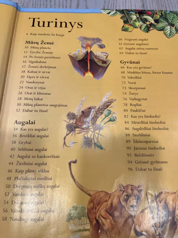 Žinių enciklopedija - Autorių Kolektyvas, knyga 5