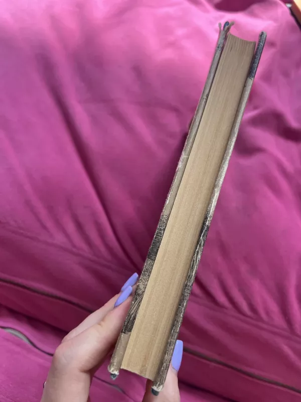 Sodybų tuštėjimo metas (4 knyga) - Jonas Avyžius, knyga 5