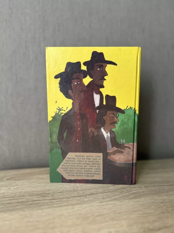 Gabrielė - Žoržis Amadus, knyga 2